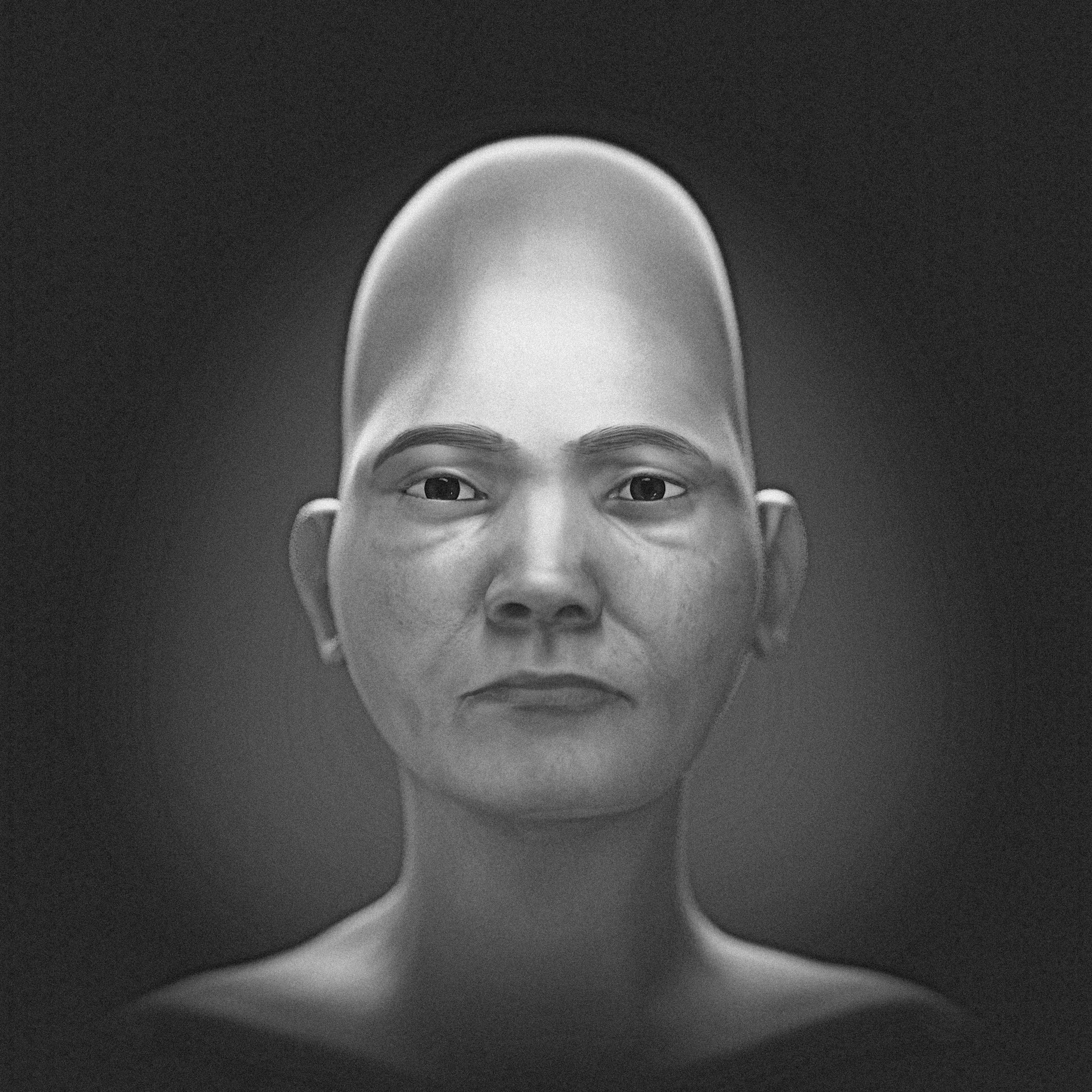 _images/Dully_Skin_1.jpg