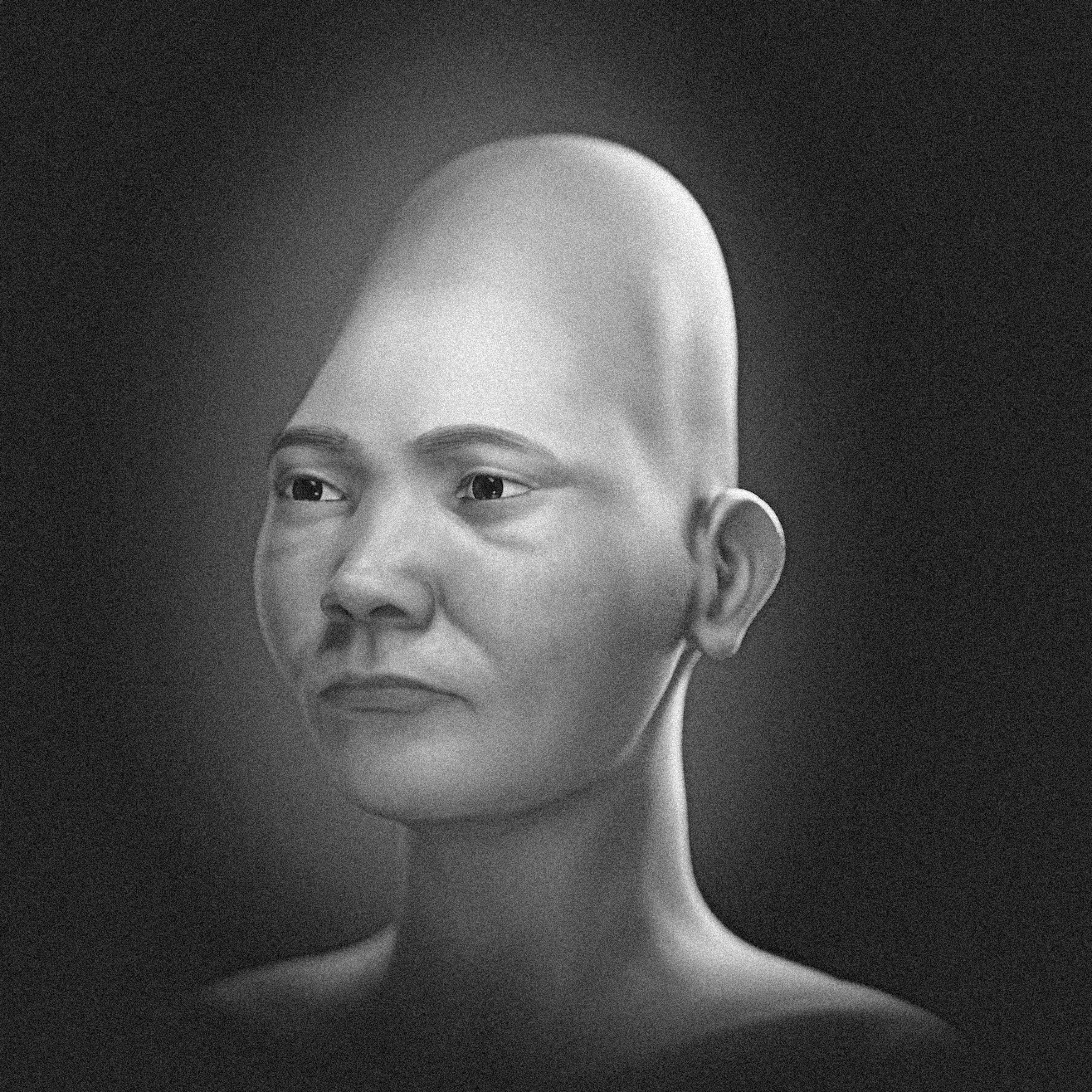 _images/Dully_Skin_3.jpg