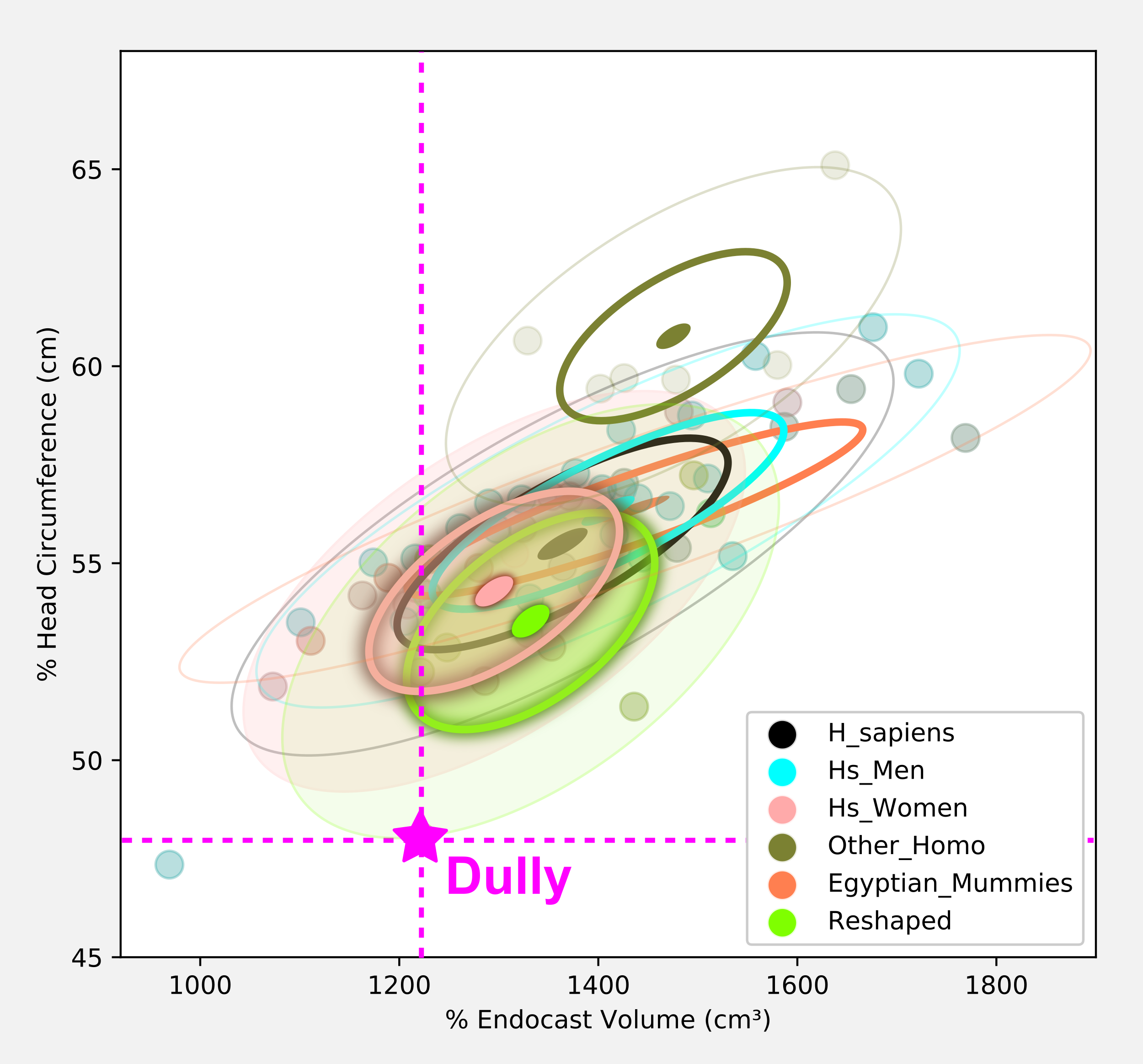 _images/Dully_graph_1.png